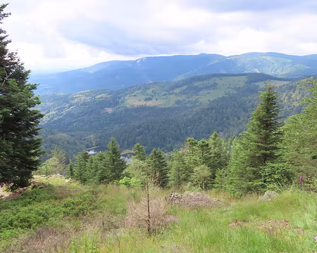 20240711_102800 En bas,on aperçoit les lacs, le grand et le petit Neuweiher