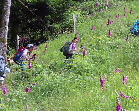20240711_150600 On remonte, il faut changer de vallée