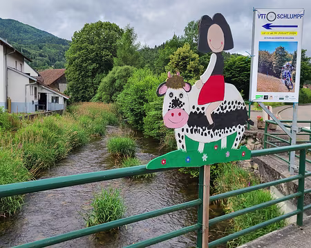 20240712_104703 La Doller à Oberbruck