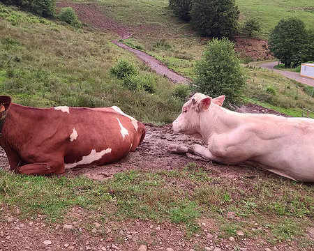 20240712_211829 Fin de journée