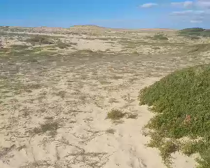 20240913_172219 Paysage d'arrière dune.