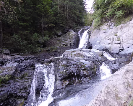 006 nous remontons La Lignare