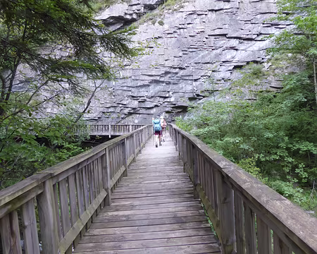 013 suite des passerelles sur la Lignare