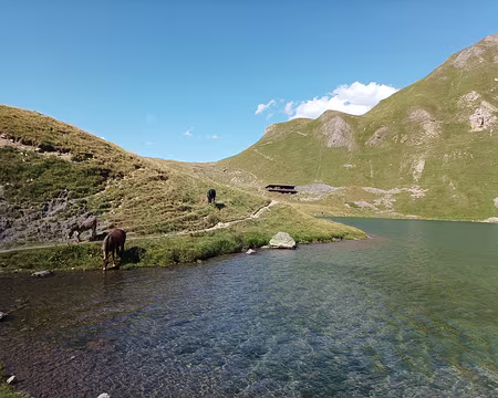037 tour du lac de la Muzelle