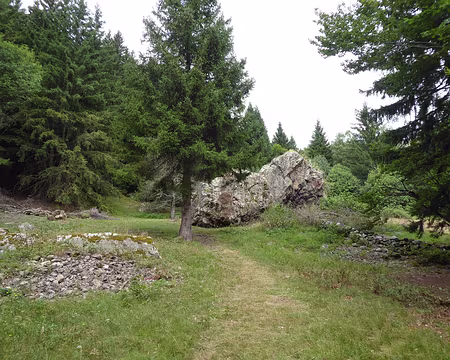 051 5ème jour, montée en forêt au plateau du Taillefer