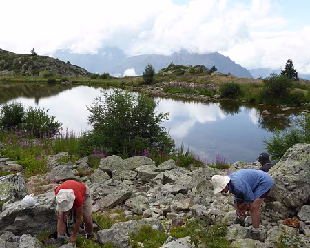 091 pause au milieu des myrtilles