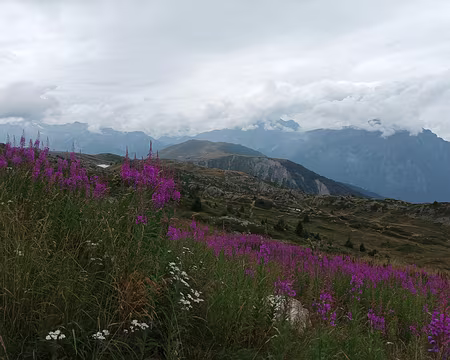 093 retour avant la pluie