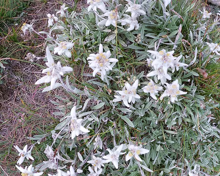 20240805-11h08m02s-GOPR1214-V3