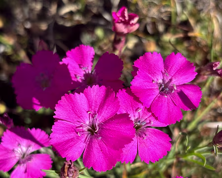 20240808-11h42m06s-IMG_1844-V3