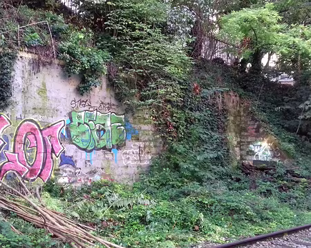 009 La végétation reprend ses droits le long des voies ferrées désaffectées depuis 1996