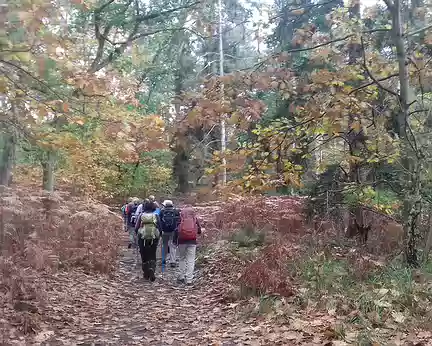 001 Départ de Fontainebleau vers le nord pour une randonnée de 18 km jusqu’à Bois-le-Roi