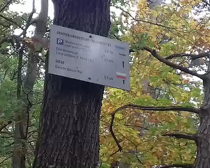 004 Sentiers et chemins de randonnée dans la forêt domaniale de Fontainebleau