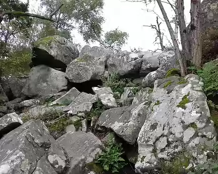 008 Blocs éboulés sur les pentes