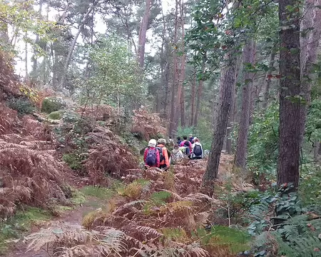 013 Couleurs d’automne