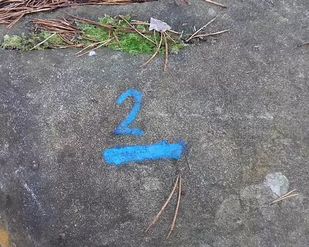 015 Les sentiers Denecourt sont balisés en bleu