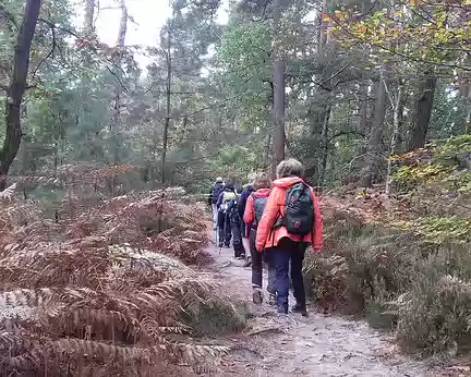 016 Descente vers le vallon