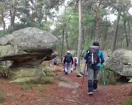 019 Sur le sentier bleu n° 3 du rocher Cassepot