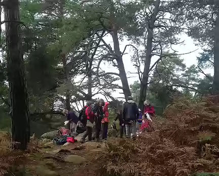 026 L’après-midi, départ pour Bois-le-Roi