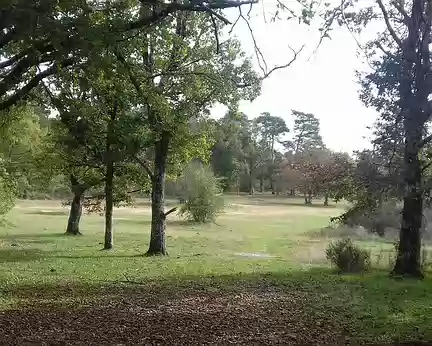 028 Grande clairière dans la vallée de la Solle