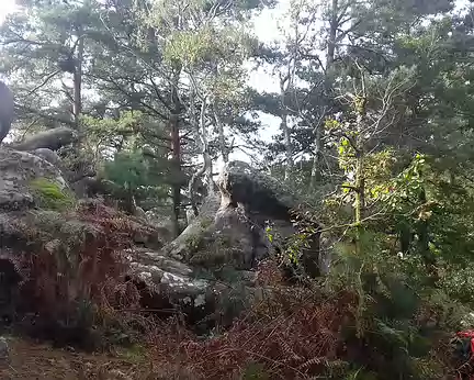 031 Les derniers rochers avant Bois-le-Roi.