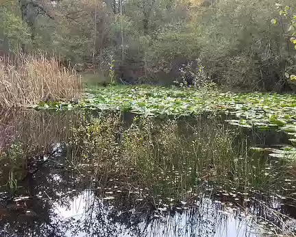 032 La mare à Piat. Merci Martine pour cette belle randonnée automnale sur les sentiers bleus