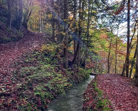 20241020_151501-01 Le canal de Corrėard