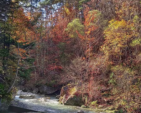 20241020_152329-01 Ruisseau de Darne