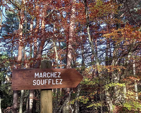 20241020_161356-01 Astucieux