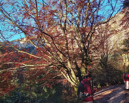 20241021_084548-01 J2. En direction du Pas de l'Aiguille.