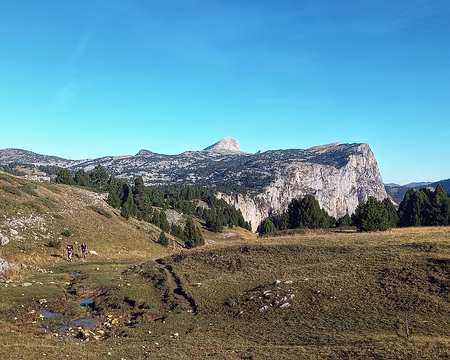 20241021_103437-01 On aperçoit le Petit et le Grand Veymont au niveau de la source de Chaumailloux.