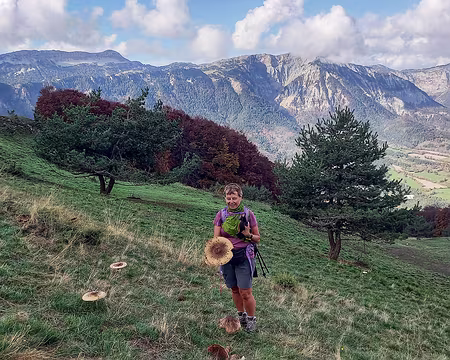 20241022_113156-01 Record : coulemelle grosse comme un plat à gâteau.