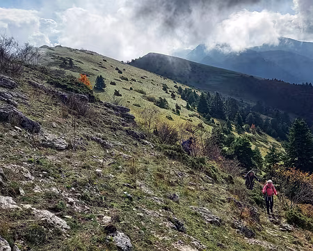 20241022_121905-01 À la recherche de l'arche.