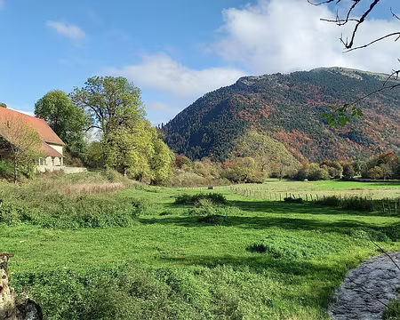 20241023_143728-01 Ruthière et le Platary.
