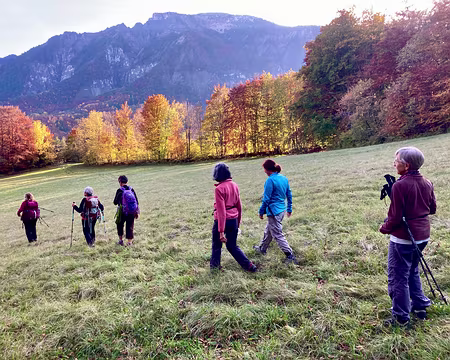 IMG_1164 Promenade au-dessus de Richardière