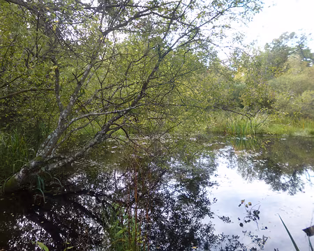 P1200079 La Mare aux Fées