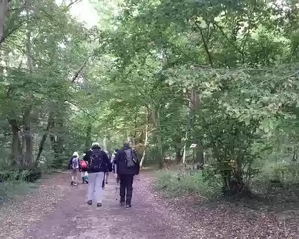 005 Arrivée dans la forêt domaniale de Fontainebleau