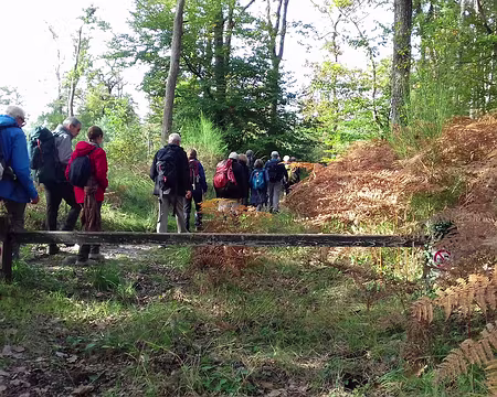 008 Le groupe de randonneurs