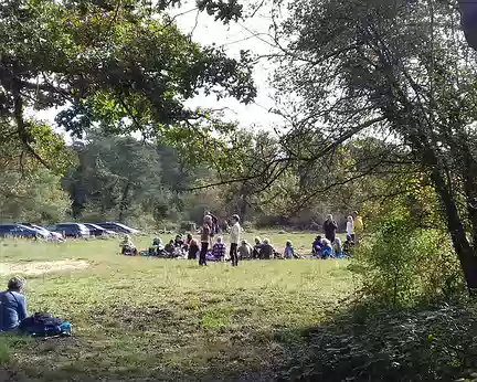 016 Pique-nique convivial dans une grande clairière près du parking de la Plaine verte, au niveau du vallon des Trembleaux