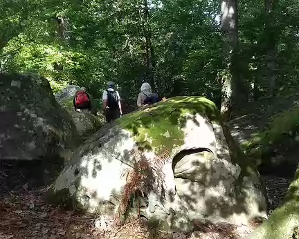 020 Sentier bleu au milieu des rochers (sentier Denecourt 11)