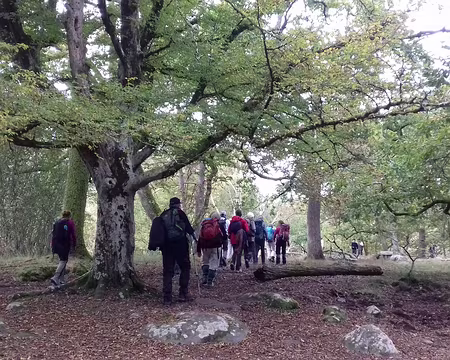 022 Vers la Mare aux Fées
