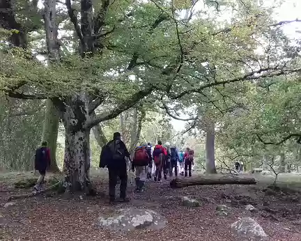 022 Vers la Mare aux Fées