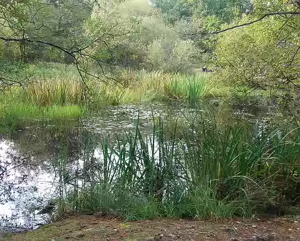 024 est une mare de platière