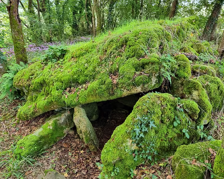 054 Dolmen sur le GR48.