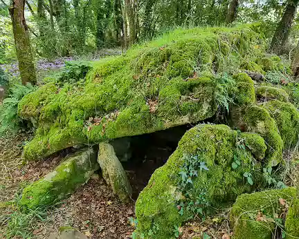 054 Dolmen sur le GR48.