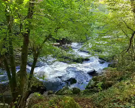 072 Formé de 3 chutes d'eau successives de 3 mètres de hauteur, le cours de la Brame sinueux est parsemé d'énormes blocs granitiques.