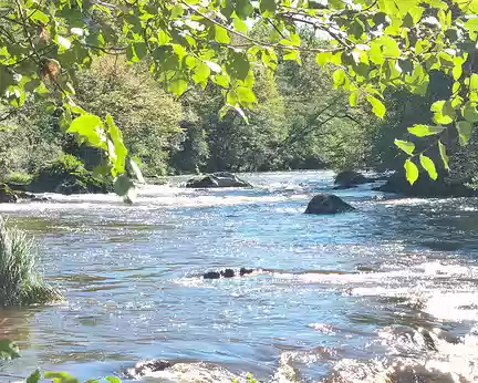 078 L'ambiance tranquille de la rivière change alors, la Gartempe prenant un aspect plus torrentiel, se faufilant entre les blocs.