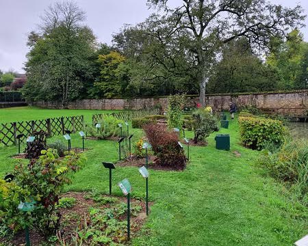 100 Jardin d'inspiration médiévale.