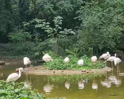 108 Depuis 2023, le parc animalier, qui appartient à la ville de Poitiers, a développé une nouvelle approche pour le bien-être des animaux.