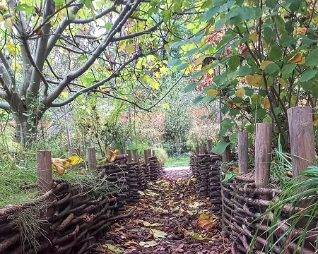 20241102_131649-01 Jardin des 9 carrés.