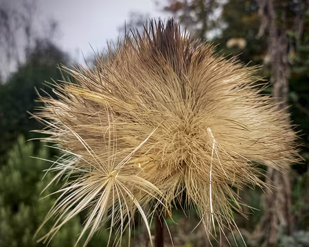 20241102_140116-01 Cardon